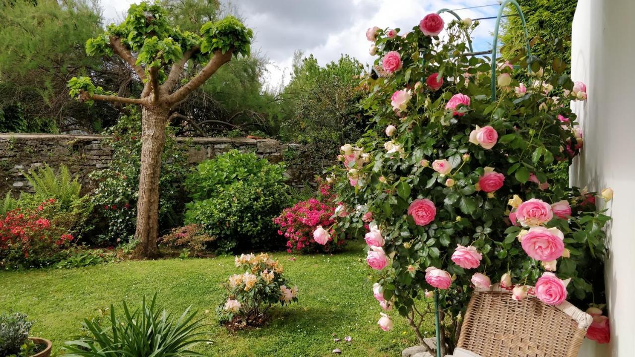 T1 Ou T2 Dans Villa Avec Jardin Proche Biarritz Англе Экстерьер фото
